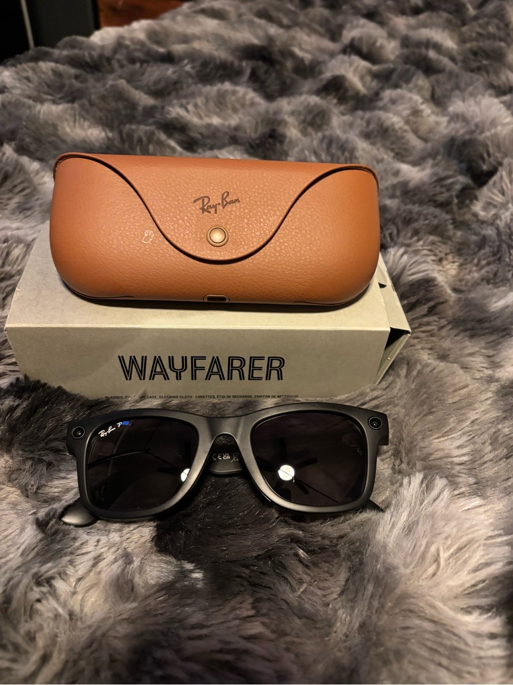 Ray-Ban Wayfarer Black Sunglasses with Brown Case